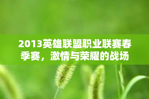 2013英雄联盟职业联赛春季赛，激情与荣耀的战场
