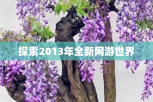 探索2013年全新网游世界