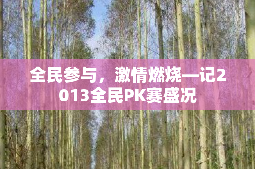 全民参与,激情燃烧—记2013全民PK赛盛况 全民参与,激情燃烧—记2013全民PK赛盛况