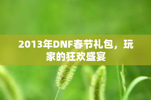 2013年DNF春节礼包，玩家的狂欢盛宴