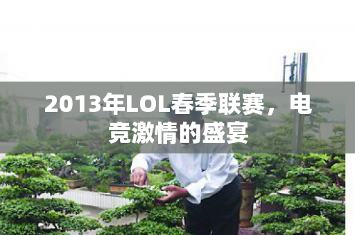 2013年LOL春季联赛，电竞激情的盛宴
