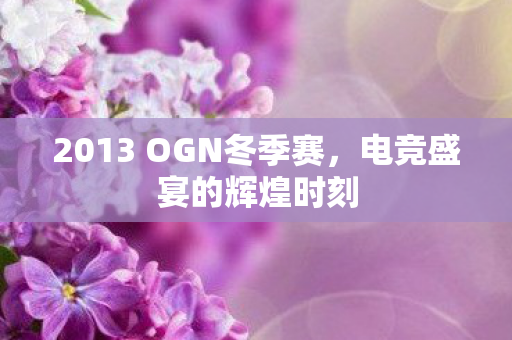 2013 OGN冬季赛,电竞盛宴的辉煌时刻 2013 OGN冬季赛,电竞盛宴的辉煌时刻