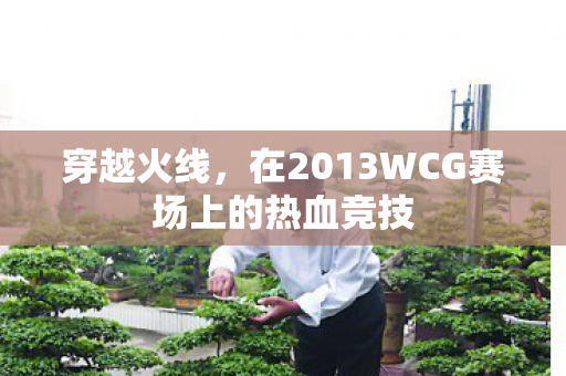 穿越火线，在2013WCG赛场上的热血竞技