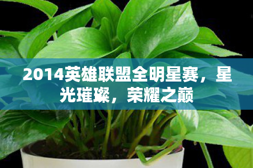 2014英雄联盟全明星赛,星光璀璨,荣耀之巅 2014英雄联盟全明星赛,星光璀璨,荣耀之巅