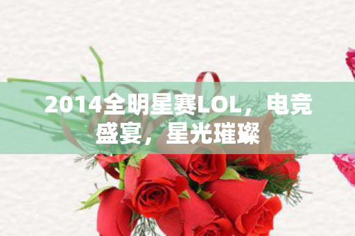 2014全明星赛LOL，电竞盛宴，星光璀璨