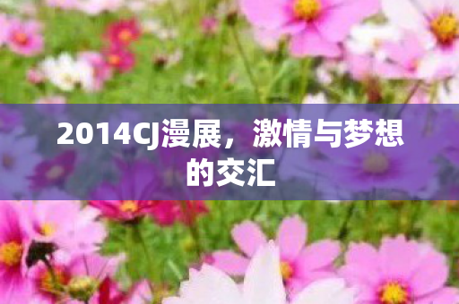2014CJ漫展,激情与梦想的交汇 2014CJ漫展,激情与梦想的交汇