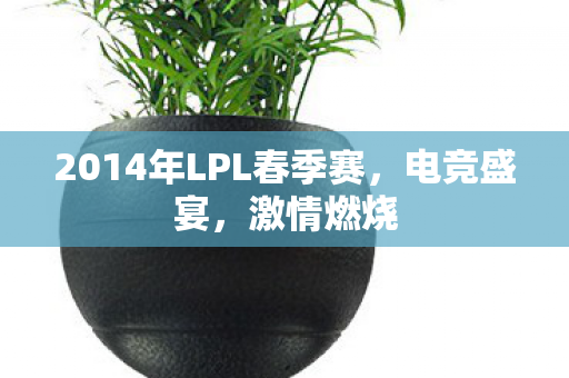 2014年LPL春季赛，电竞盛宴，激情燃烧