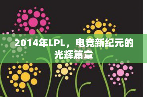 2014年LPL，电竞新纪元的光辉篇章