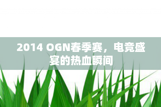 2014 OGN春季赛，电竞盛宴的热血瞬间