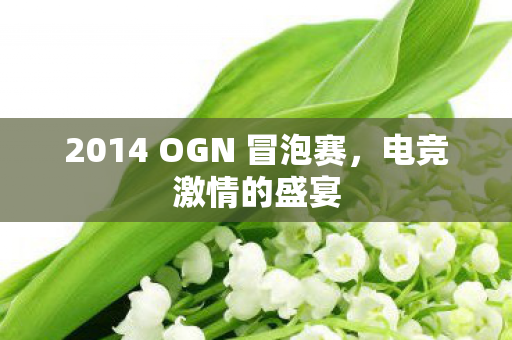 2014 OGN 冒泡赛，电竞激情的盛宴