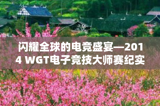 闪耀全球的电竞盛宴—2014 WGT电子竞技大师赛纪实 闪耀全球的电竞盛宴—2014 WGT电子竞技大师赛纪实