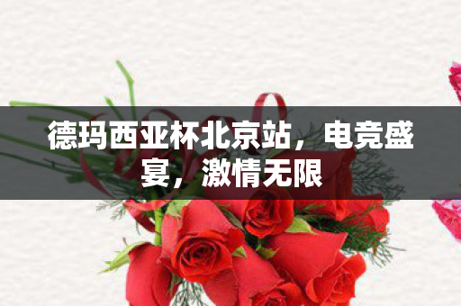 德玛西亚杯北京站，电竞盛宴，激情无限