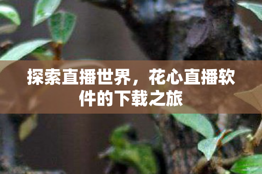 探索直播世界,花心直播软件的下载之旅 探索直播世界,花心直播软件的下载之旅