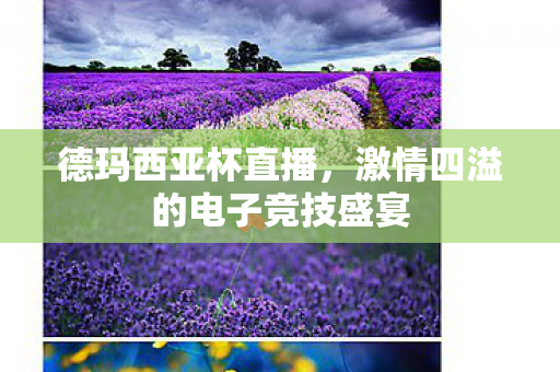 德玛西亚杯直播,激情四溢的电子竞技盛宴 德玛西亚杯直播,激情四溢的电子竞技盛宴