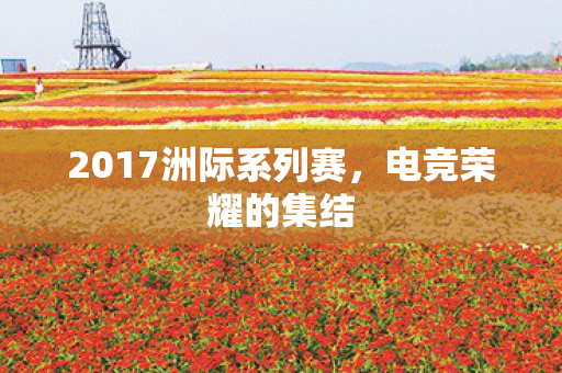 2017洲际系列赛,电竞荣耀的集结 2017洲际系列赛,电竞荣耀的集结