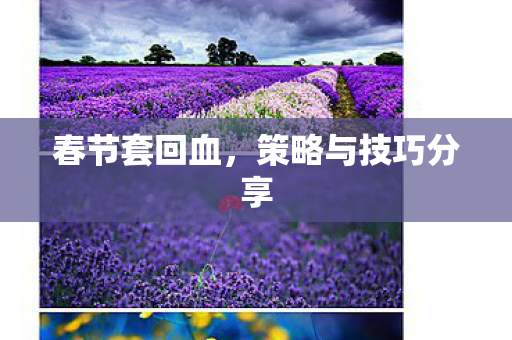 春节套回血，策略与技巧分享