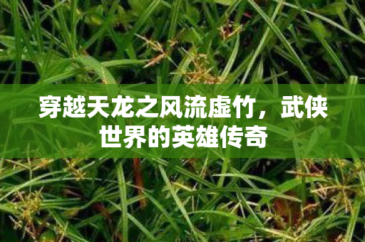 穿越天龙之风流虚竹,武侠世界的英雄传奇 穿越天龙之风流虚竹,武侠世界的英雄传奇