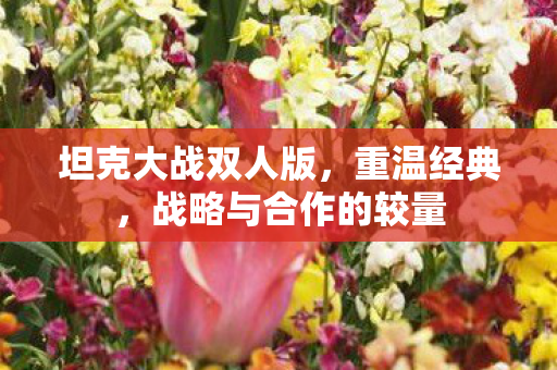 坦克大战双人版，重温经典，战略与合作的较量
