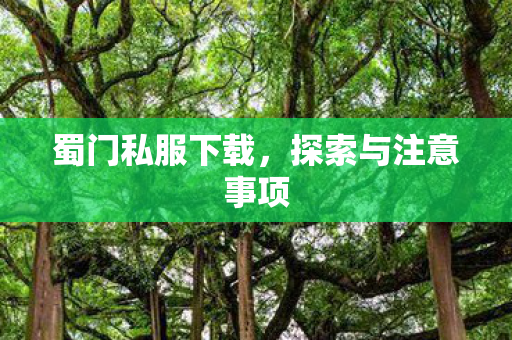 蜀门私服下载，探索与注意事项