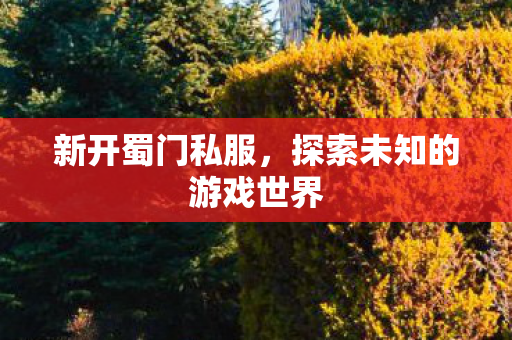 新开蜀门私服，探索未知的游戏世界