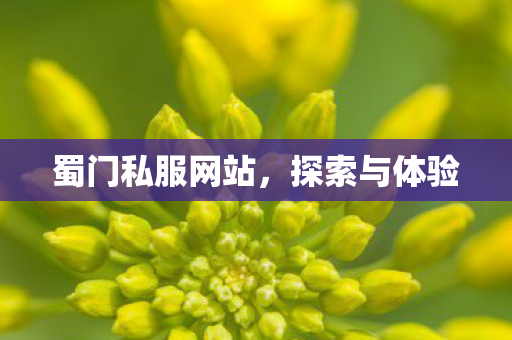 蜀门私服网站，探索与体验