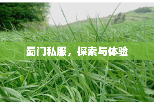 蜀门私服，探索与体验