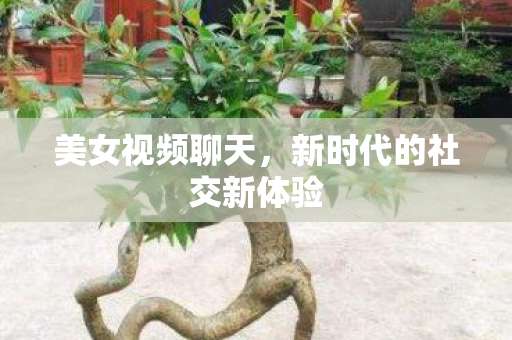 美女视频聊天,新时代的社交新体验 美女视频聊天,新时代的社交新体验