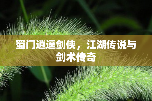 蜀门逍遥剑侠，江湖传说与剑术传奇