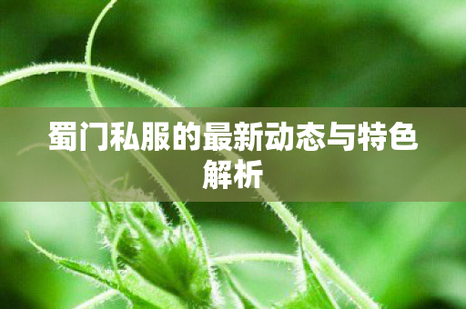 蜀门私服的最新动态与特色解析