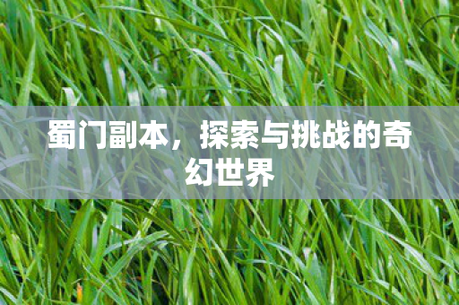 蜀门副本，探索与挑战的奇幻世界