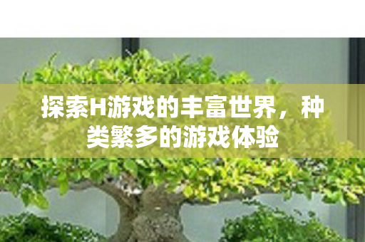 探索H游戏的丰富世界,种类繁多的游戏体验 探索H游戏的丰富世界,种类繁多的游戏体验