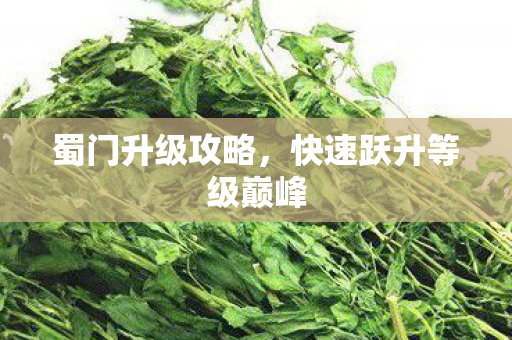 蜀门升级攻略，快速跃升等级巅峰