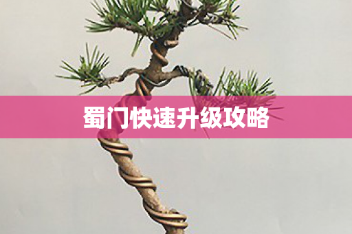 蜀门快速升级攻略