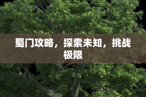 蜀门攻略,探索未知,挑战极限 蜀门攻略,探索未知,挑战极限