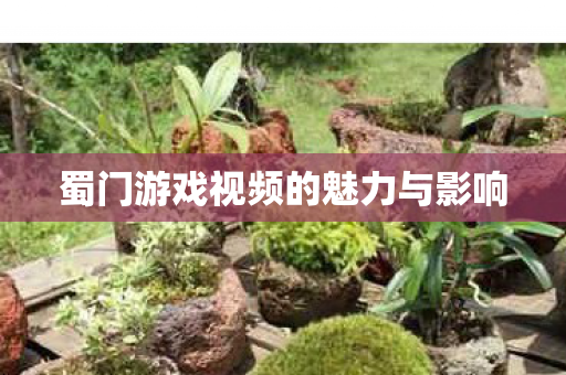 蜀门游戏视频的魅力与影响
