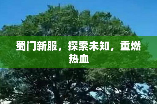 蜀门新服,探索未知,重燃热血 蜀门新服,探索未知,重燃热血