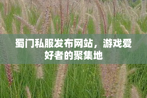 蜀门私服发布网站，游戏爱好者的聚集地