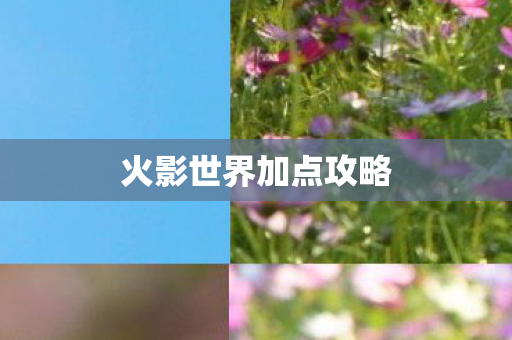 火影世界加点攻略