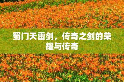 蜀门天雷剑，传奇之剑的荣耀与传奇