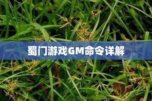 蜀门游戏GM命令详解