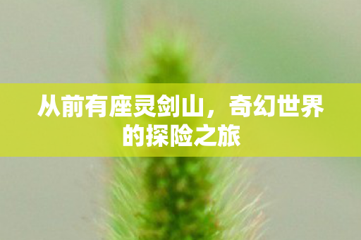从前有座灵剑山，奇幻世界的探险之旅