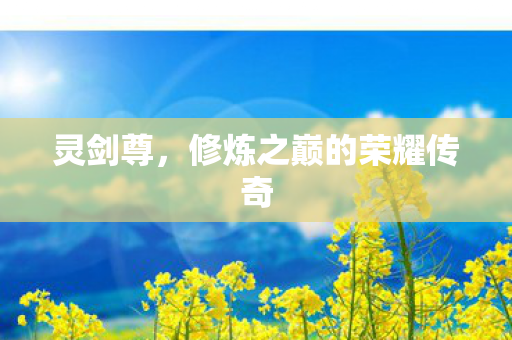 灵剑尊,修炼之巅的荣耀传奇 灵剑尊,修炼之巅的荣耀传奇