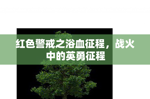 红色警戒之浴血征程，战火中的英勇征程