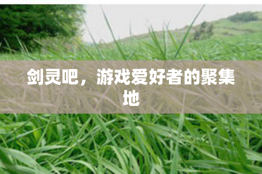 剑灵吧，游戏爱好者的聚集地