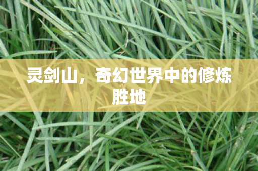 灵剑山，奇幻世界中的修炼胜地
