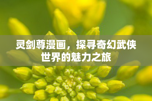 灵剑尊漫画，探寻奇幻武侠世界的魅力之旅