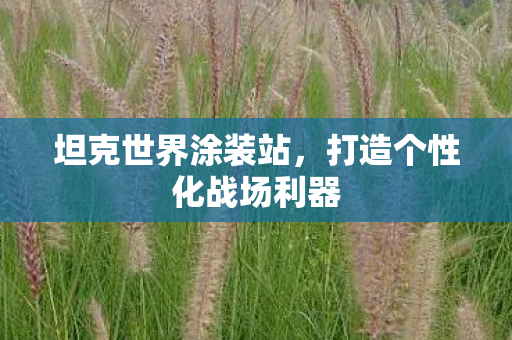 坦克世界涂装站，打造个性化战场利器