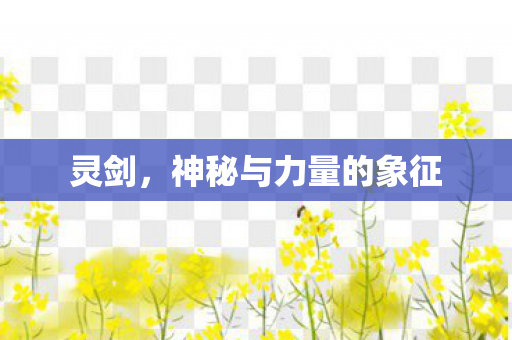 灵剑，神秘与力量的象征