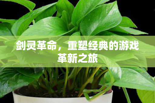 剑灵革命，重塑经典的游戏革新之旅