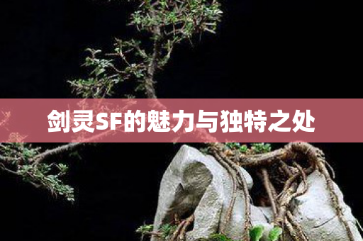 剑灵SF的魅力与独特之处